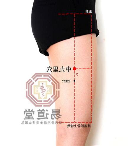 中九里穴 位置